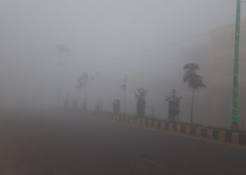 कुहिरोले तराई ढाक्दै, हिमालमा हल्का हिमपातको संकेत !