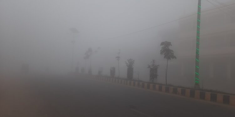 कुहिरोले तराई ढाक्दै, हिमालमा हल्का हिमपातको संकेत !