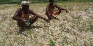 विश्वमा पानीको चक्र अनियमित बन्दै, कतै बाढी त कतै गम्भीर अभावको जोखिम