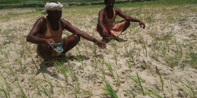 विश्वमा पानीको चक्र अनियमित बन्दै, कतै बाढी त कतै गम्भीर अभावको जोखिम
