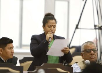 आलोचकलाई साइबर कानुन लगाएर पक्राउ नगर्न कांग्रेस सांसद थपलियाको आग्रह