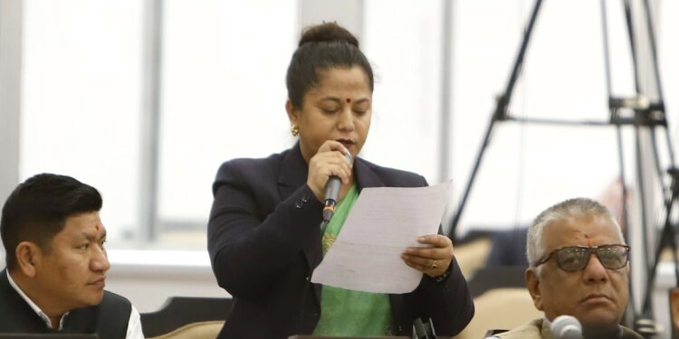 आलोचकलाई साइबर कानुन लगाएर पक्राउ नगर्न कांग्रेस सांसद थपलियाको आग्रह